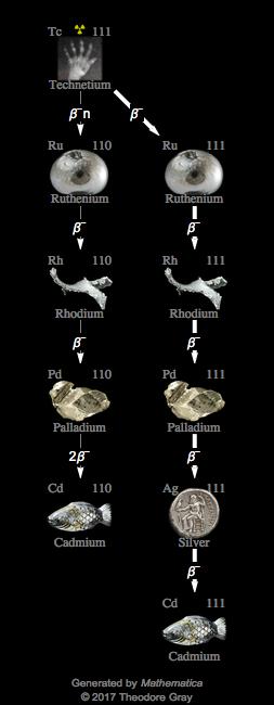 Decay Chain Image