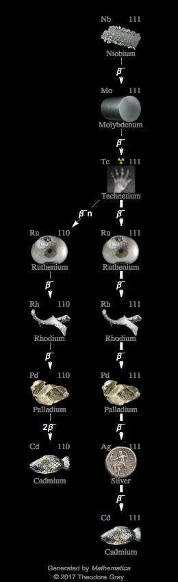 Decay Chain Image