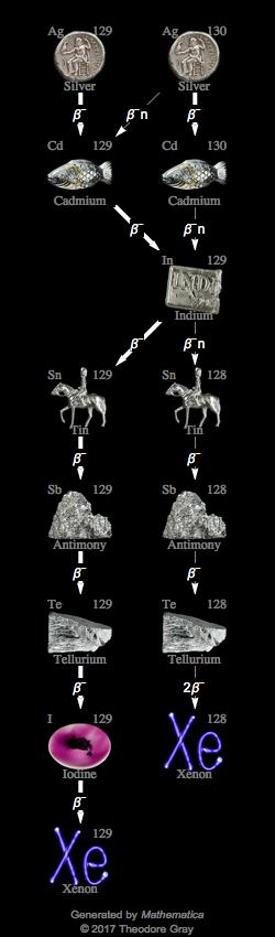 Decay Chain Image