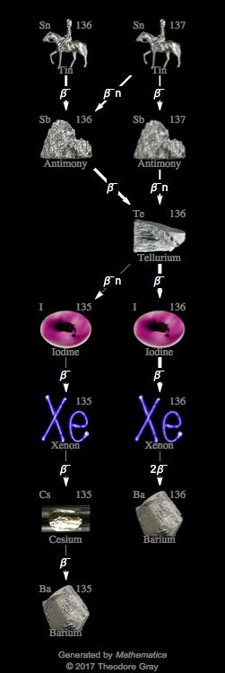 Decay Chain Image