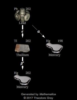 Decay Chain Image